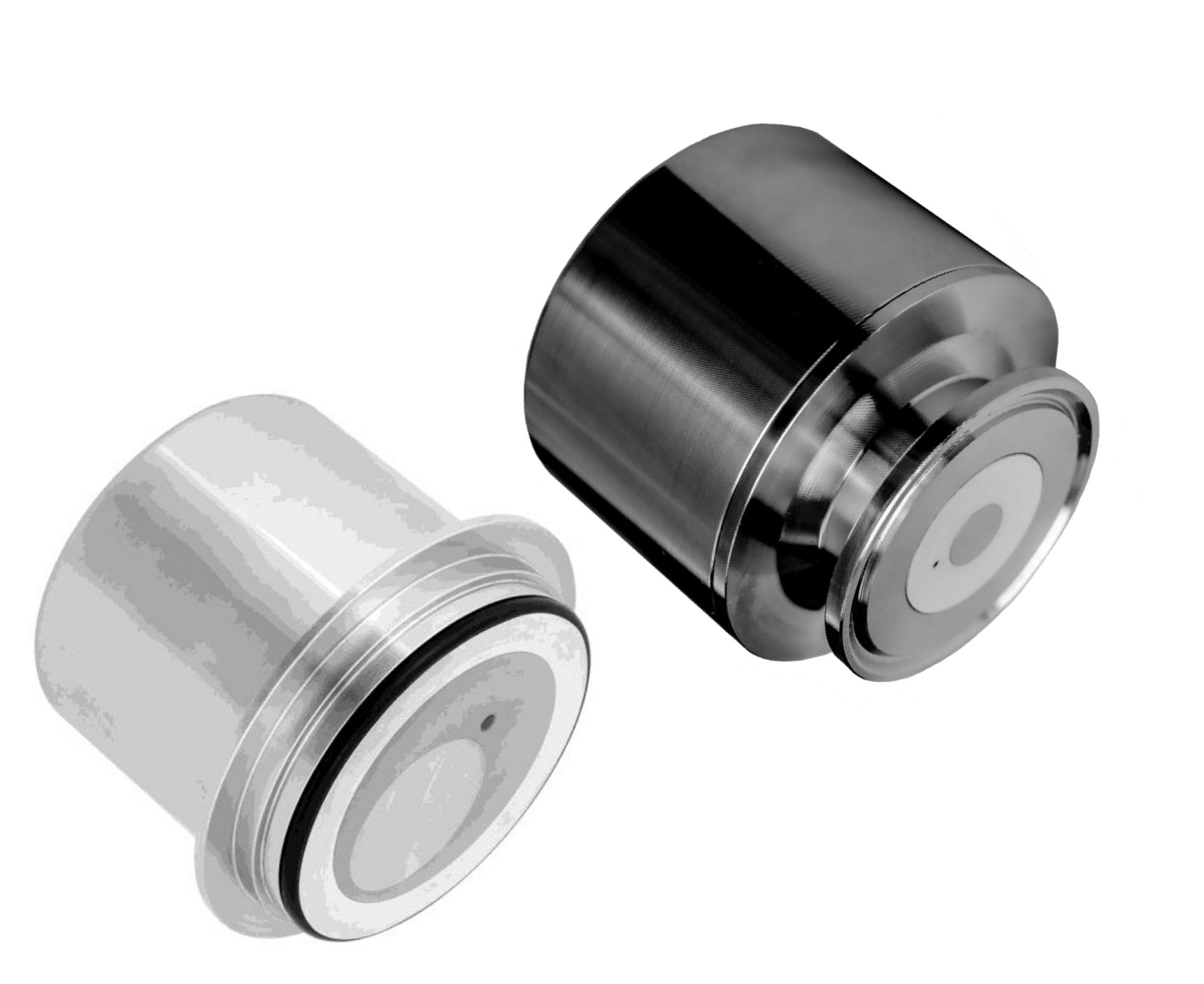 AS01S3 and AS11S3 biofilm sensors